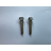 Fixing Bolts (Pack of 2) 