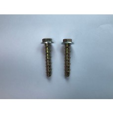 Fixing Bolts (Pack of 2) 